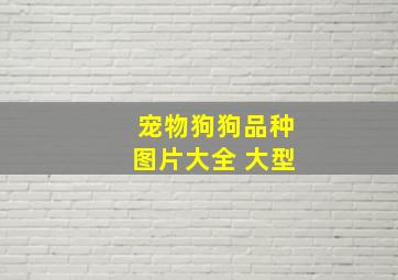 宠物狗狗品种图片大全 大型